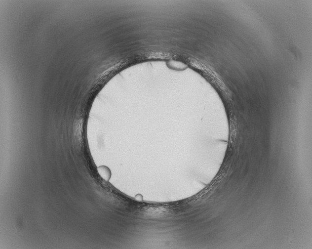 X0000115430066200912161442