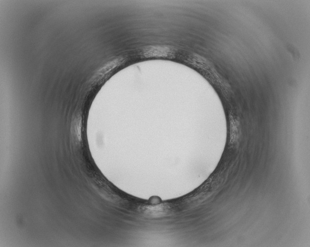 X0000115430068200912161442