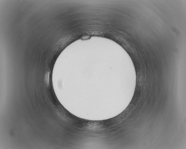 X0000115430070200912161442