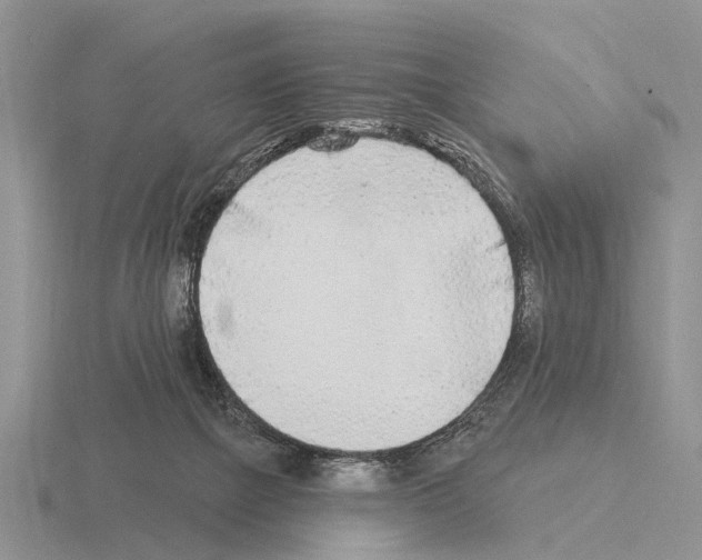 X0000115430073200912161442