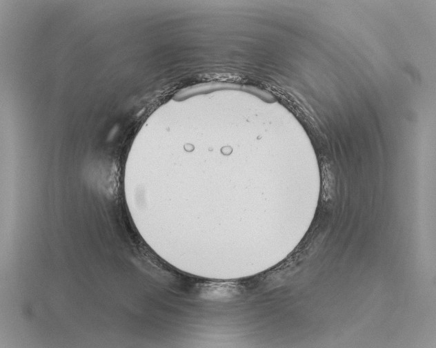 X0000115430077200912161442