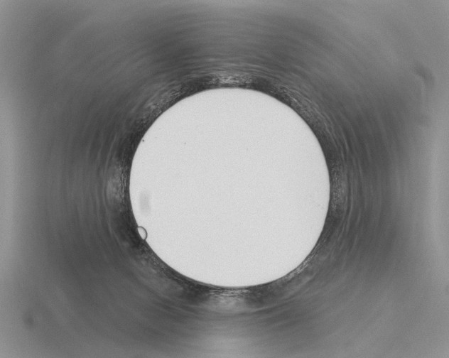 X0000115430078200912161442