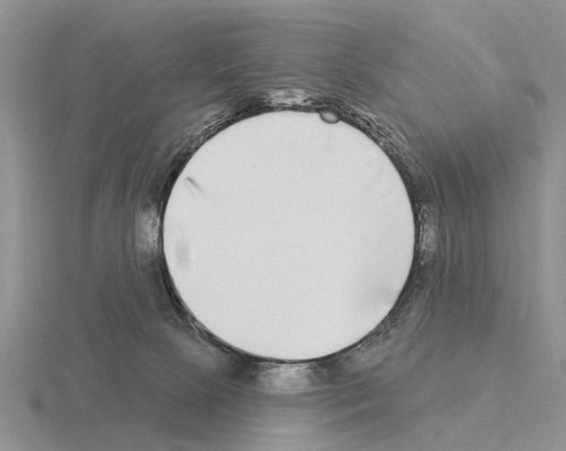 X0000115430081200912161442