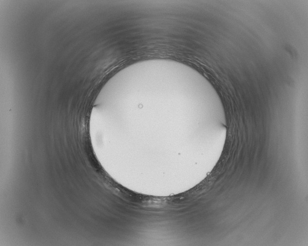 X0000115430084200912161443