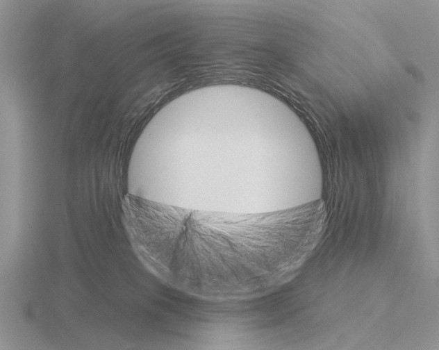 X0000115430085200912161443