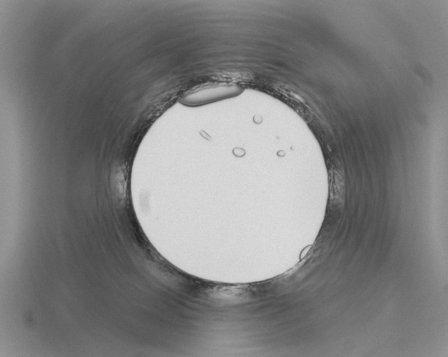 X0000115430086200912161443