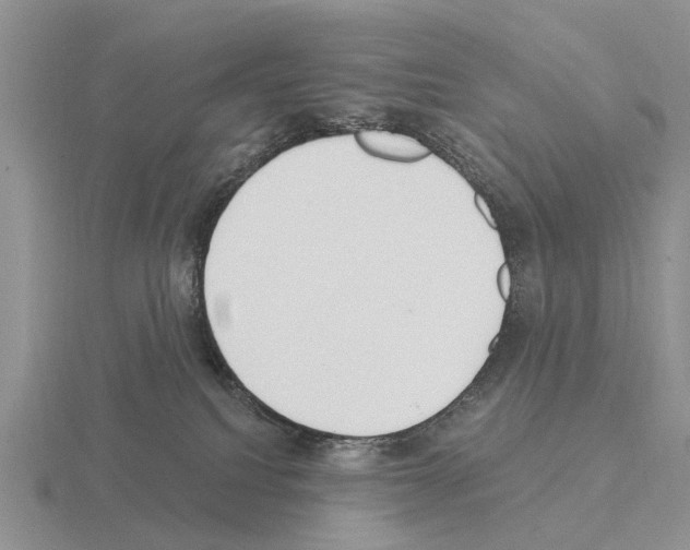 X0000115430088200912161443