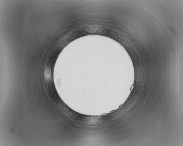 X0000115430089200912161443