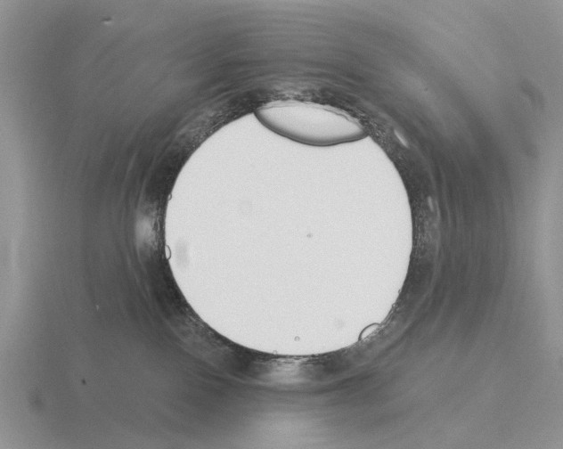 X0000115430090200912161443