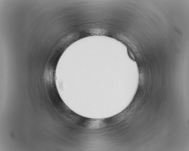 X0000115430093200912161443