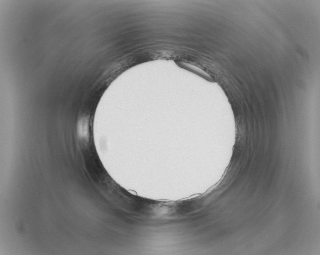 X0000115430094200912161443