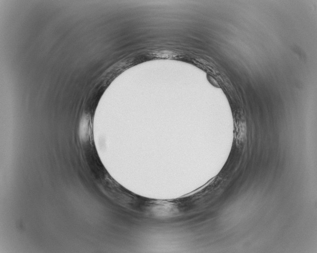 X0000115430095200912161443