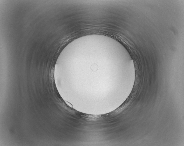 X0000115430096200912161443