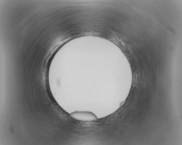 X0000115430098200912161442