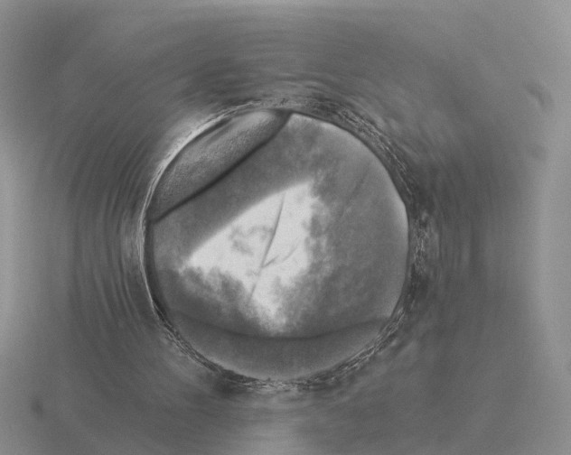 X0000115430100200912161442