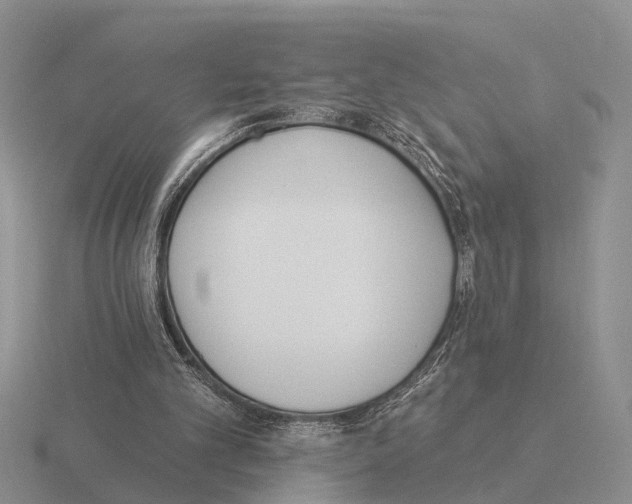 X0000115430101200912161442