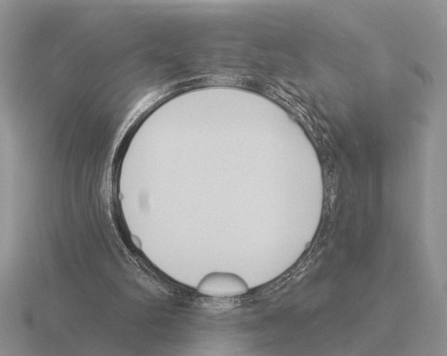 X0000115430102200912161442