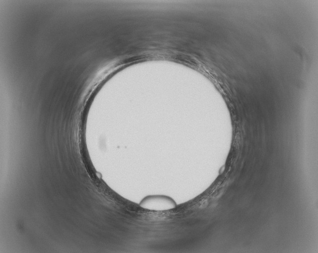 X0000115430103200912161442