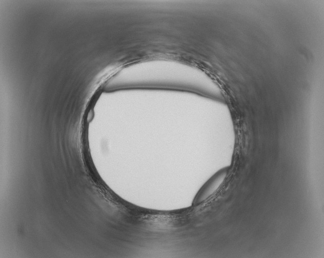 X0000115430104200912161442