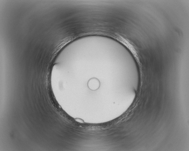 X0000115430105200912161442