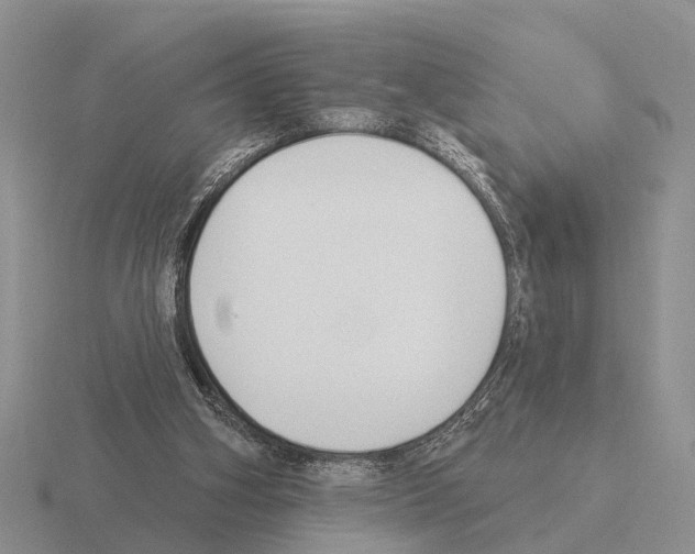 X0000115430106200912161442