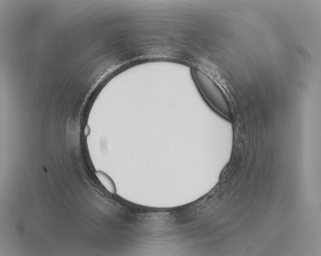 X0000115430108200912161442