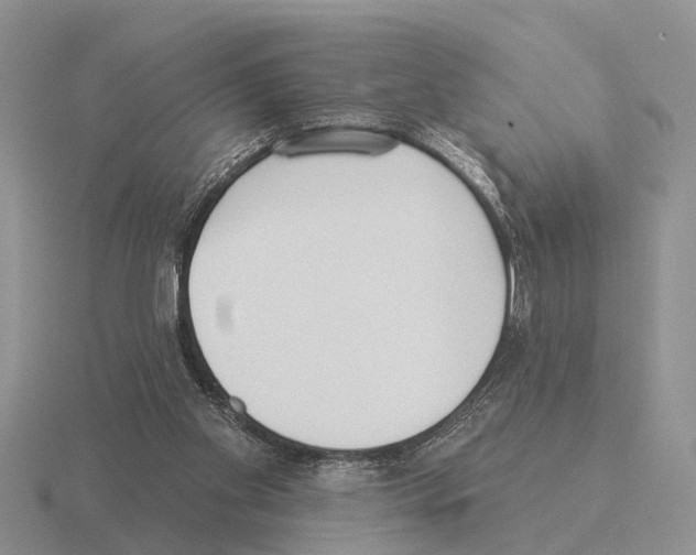 X0000115430109200912161442