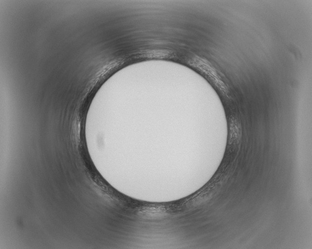 X0000115430110200912161442