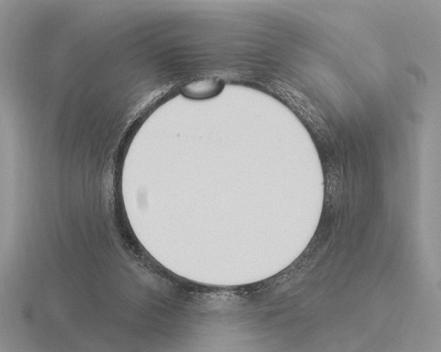 X0000115430112200912161442