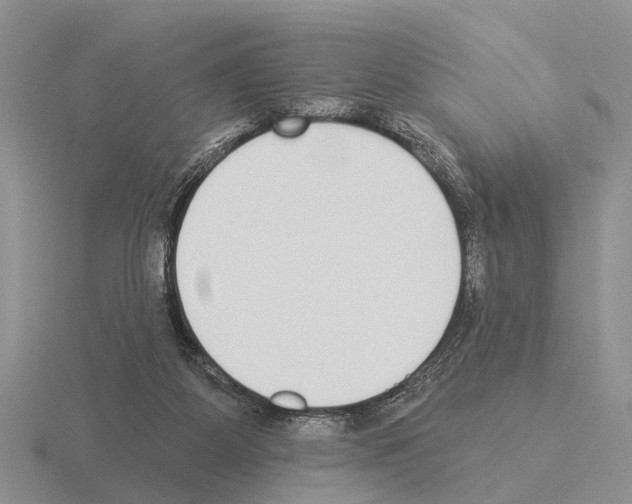 X0000115430115200912161442