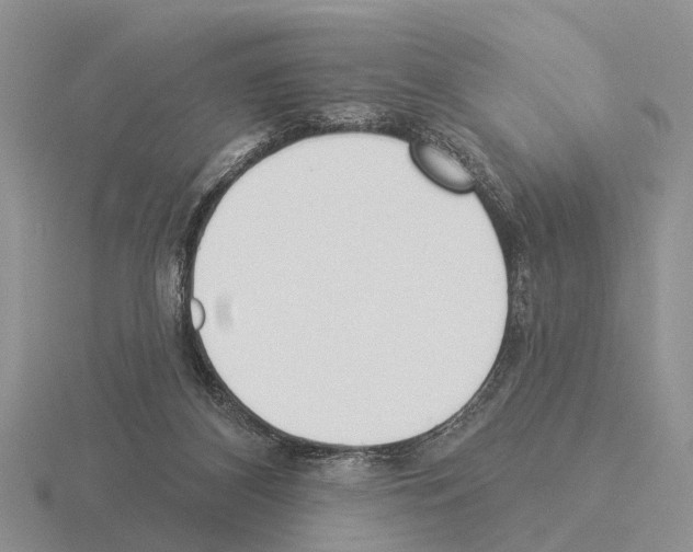 X0000115430116200912161442