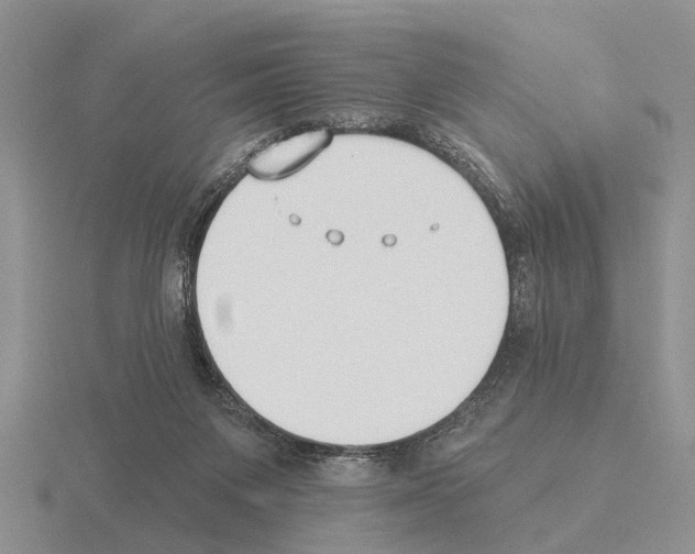 X0000115430119200912161442