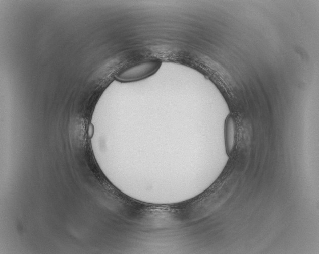 X0000115430121200912161442