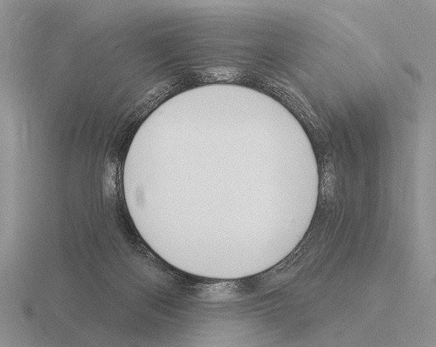 X0000115430122200912161442