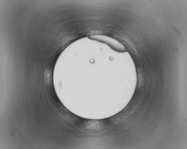 X0000115430123200912161442