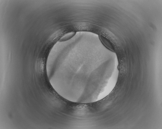 X0000115430124200912161442