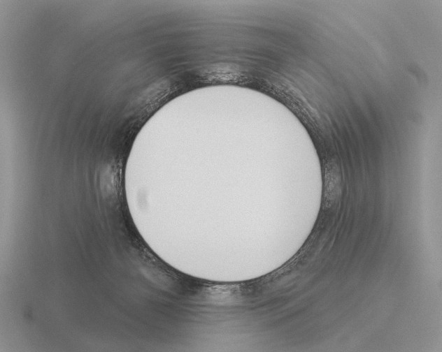 X0000115430126200912161442