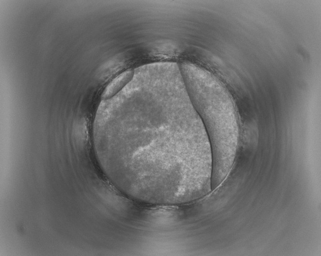 X0000115430128200912161442