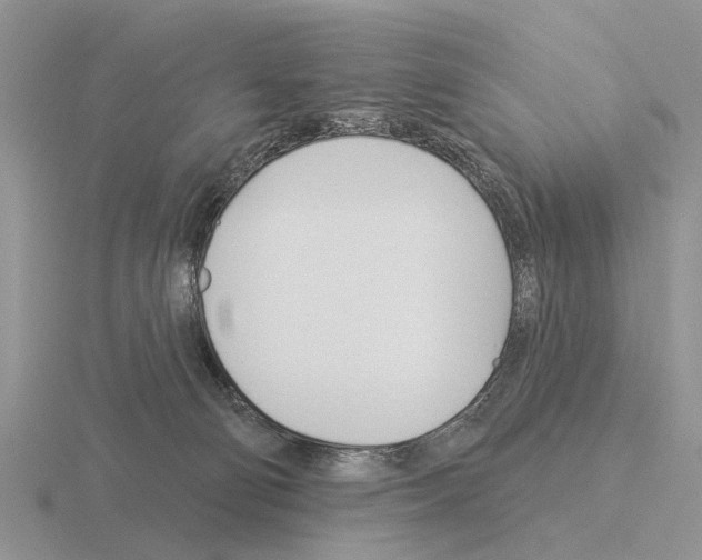 X0000115430130200912161442