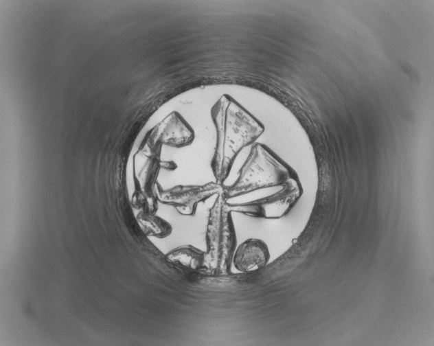 X0000115430133200912161442