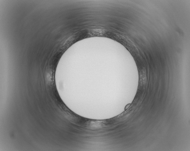 X0000115430134200912161442