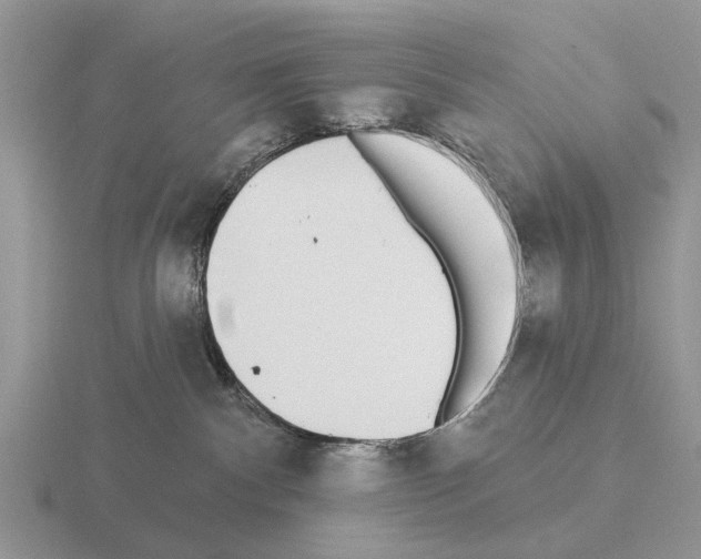 X0000115430140200912161441