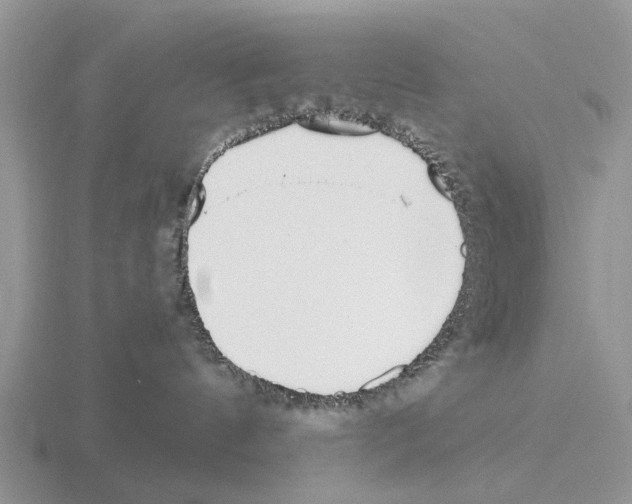 X0000115430144200912161441