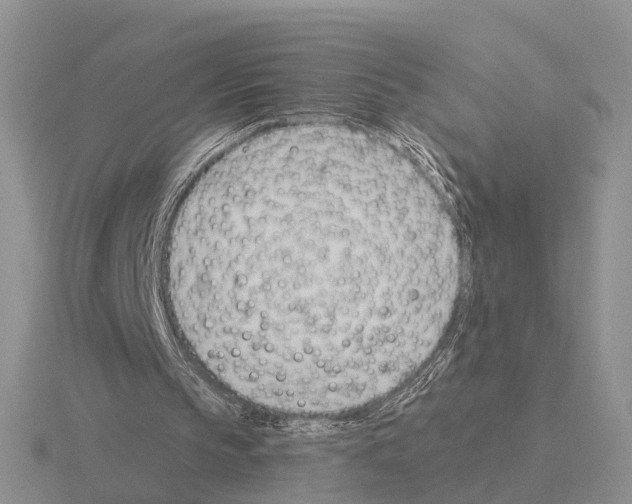 X0000115430145200912161441