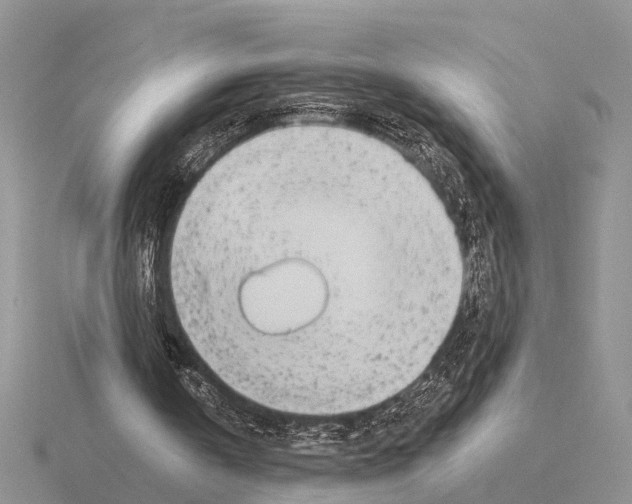 X0000115430146200912161441