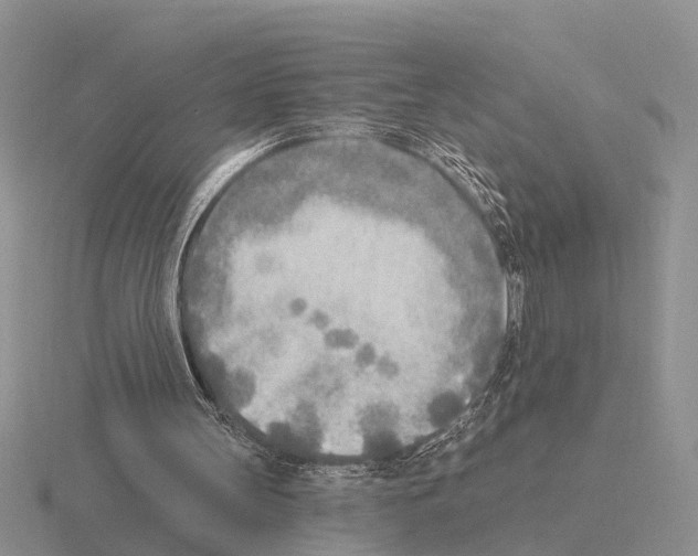 X0000115430147200912161441