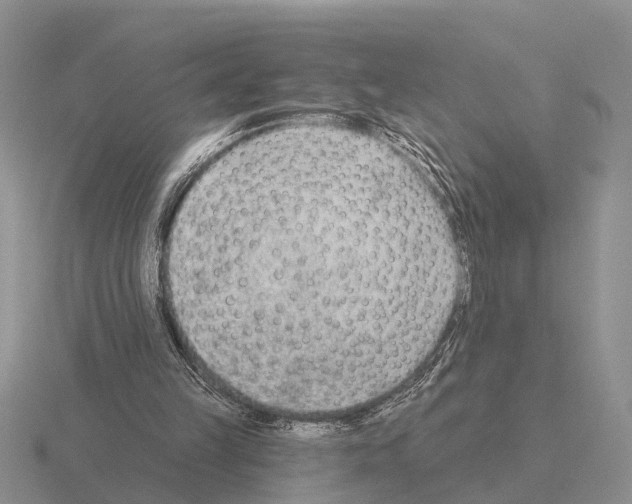 X0000115430149200912161441