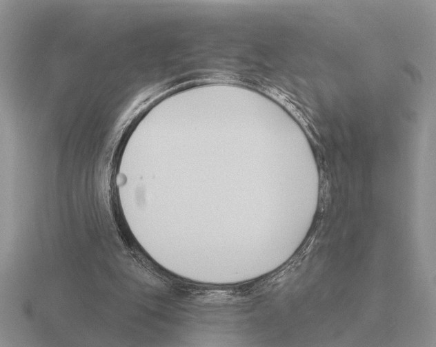 X0000115430151200912161441