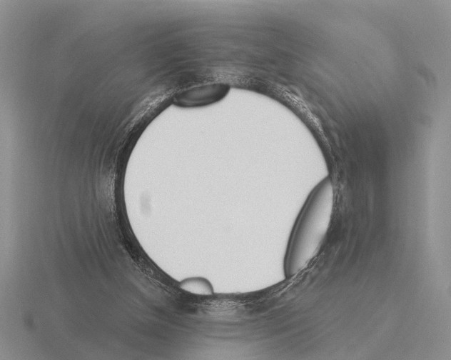 X0000115430154200912161441