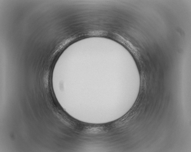 X0000115430155200912161441